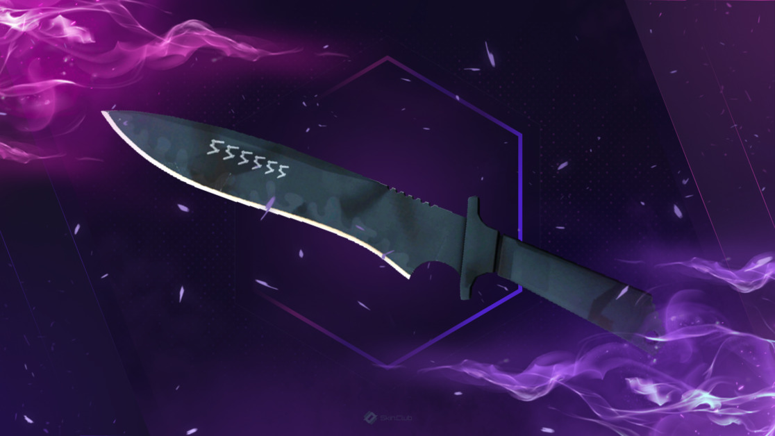 ★ StatTrak™ Classic Knife | Night Stripe (Factory New)