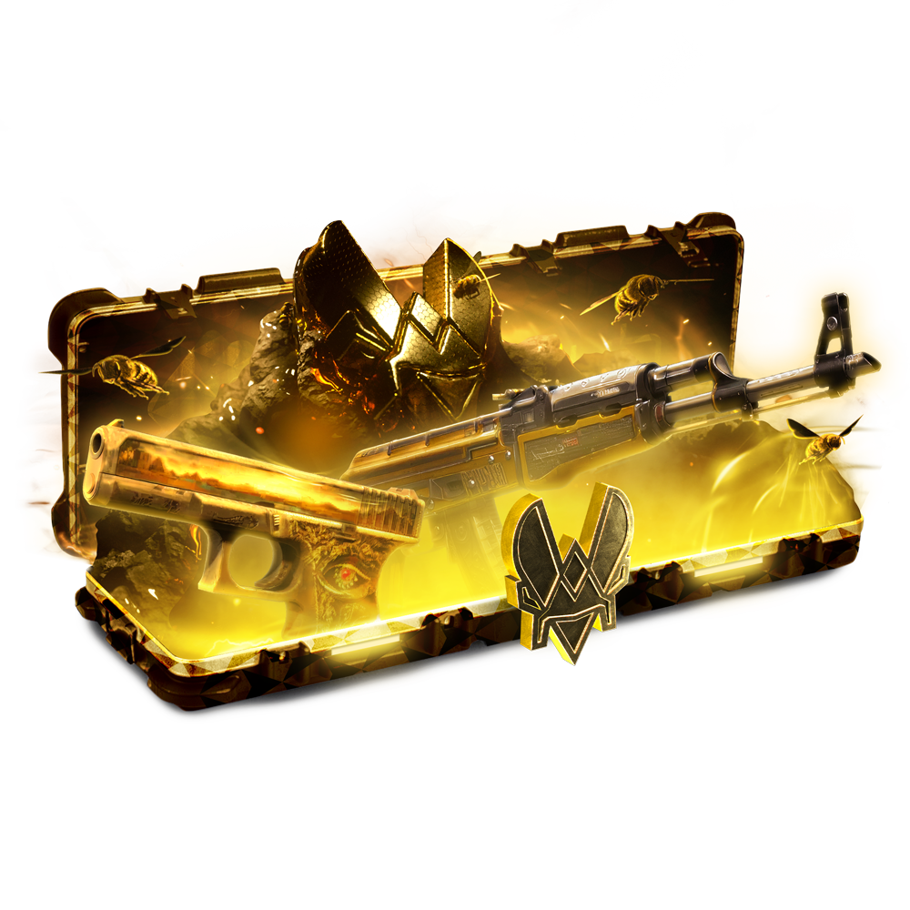Team Vitality