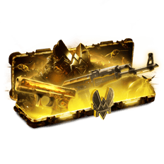 Team Vitality