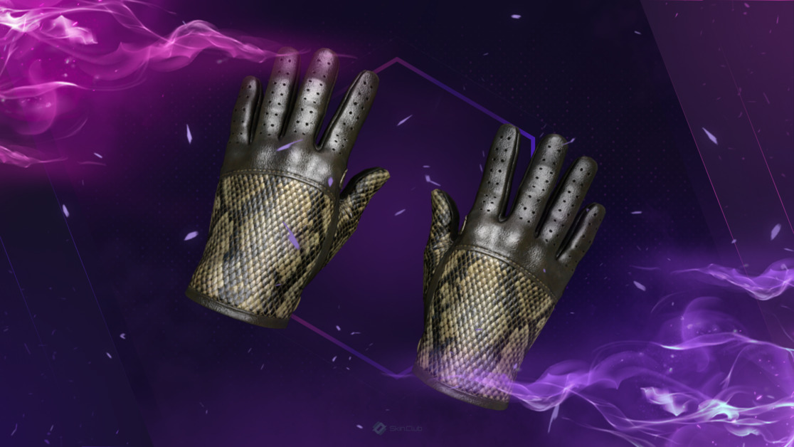 ★ Driver Gloves | Diamondback (Factory New)