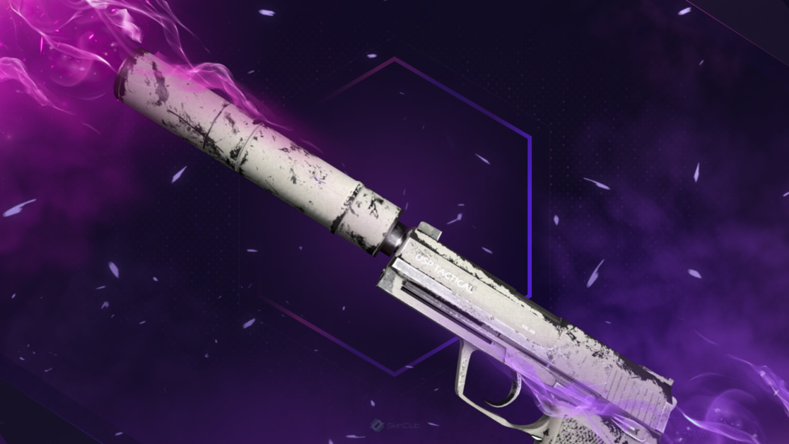 USP-S | Whiteout (Well-Worn)