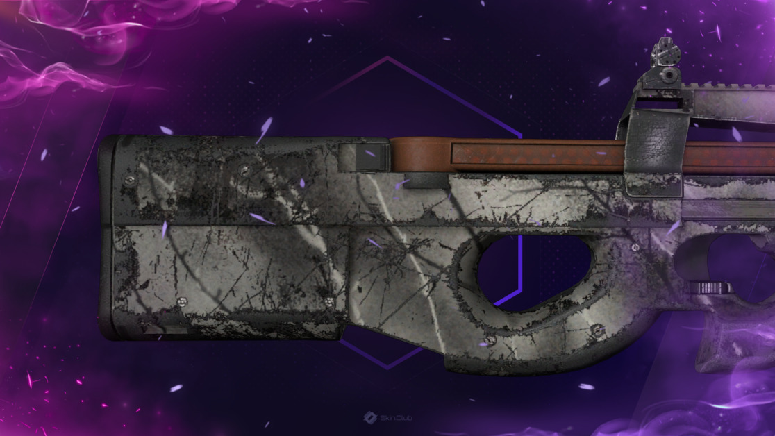 P90 | Ash Wood (Well-Worn)