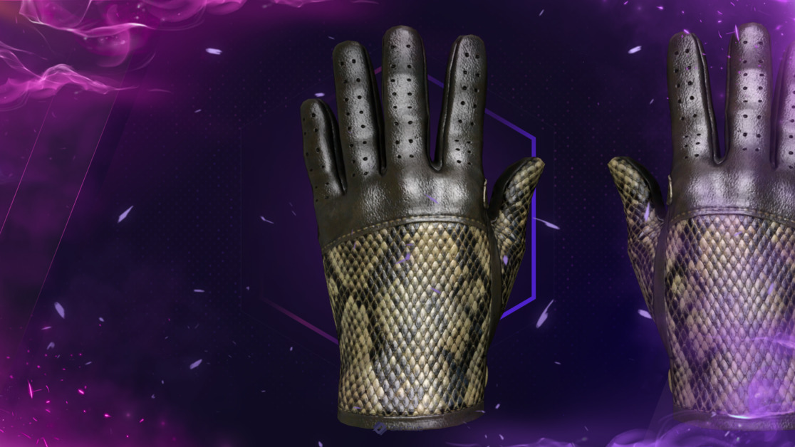 ★ Driver Gloves | Diamondback (Factory New)