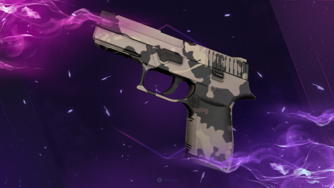 P250 | Black & Tan (Factory New)