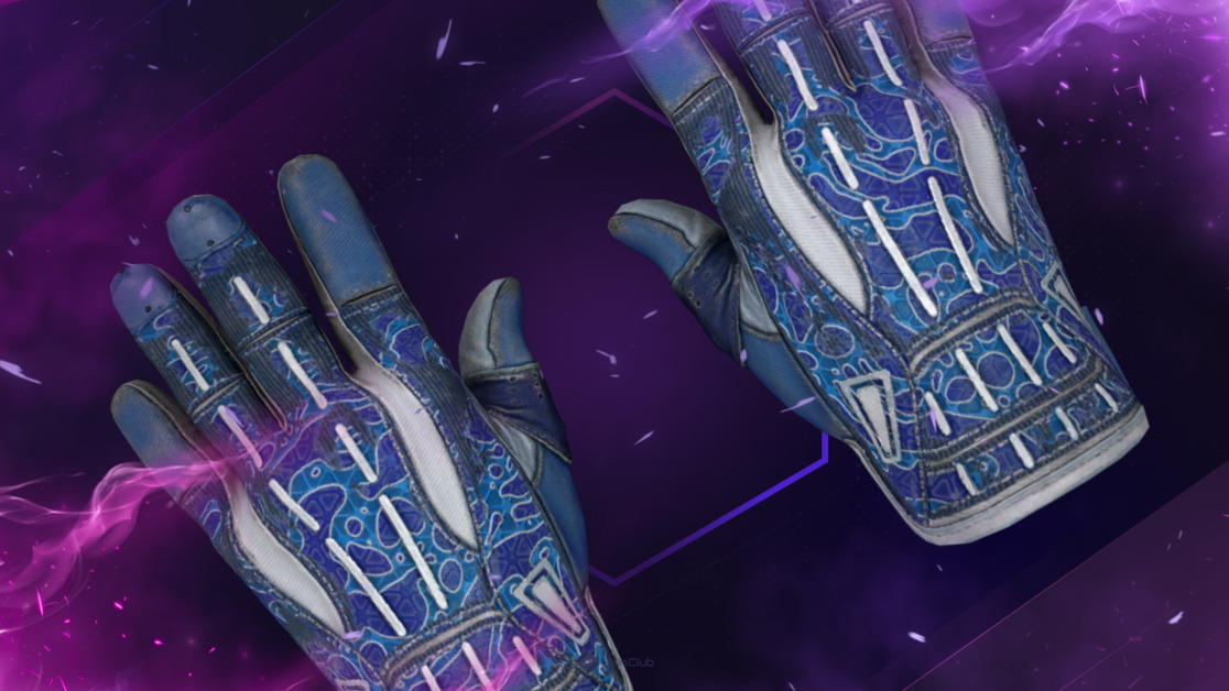 ★ Sport Gloves | Amphibious (Well-Worn)