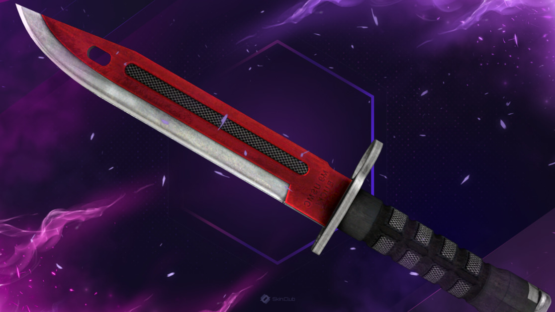 ★ Bayonet | Autotronic (Field-Tested)