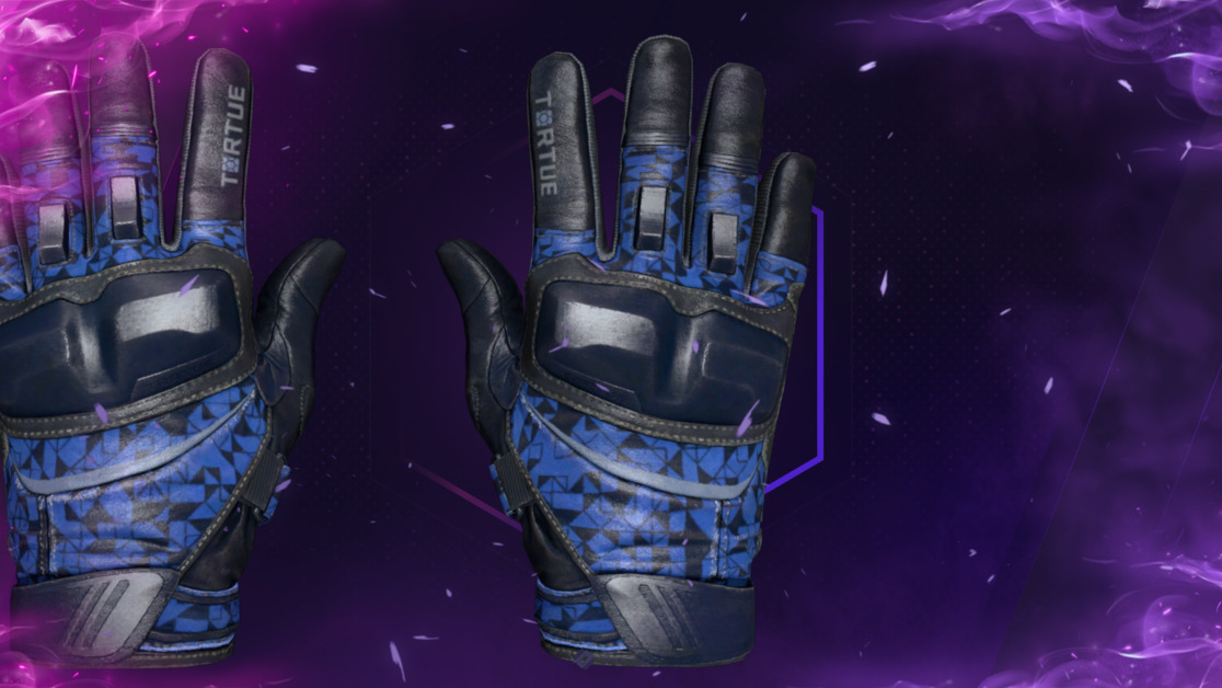 ★ Moto Gloves | Polygon (Field-Tested)