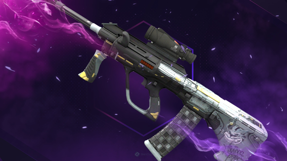 StatTrak™ AUG | Tom Cat (Minimal Wear)