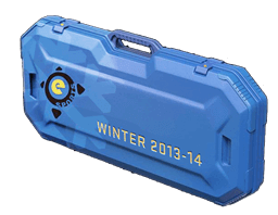 eSports 2013 Winter 