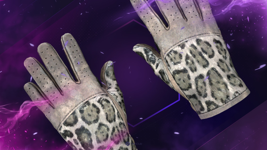 ★ Driver Gloves | Snow Leopard (Battle-Scarred)