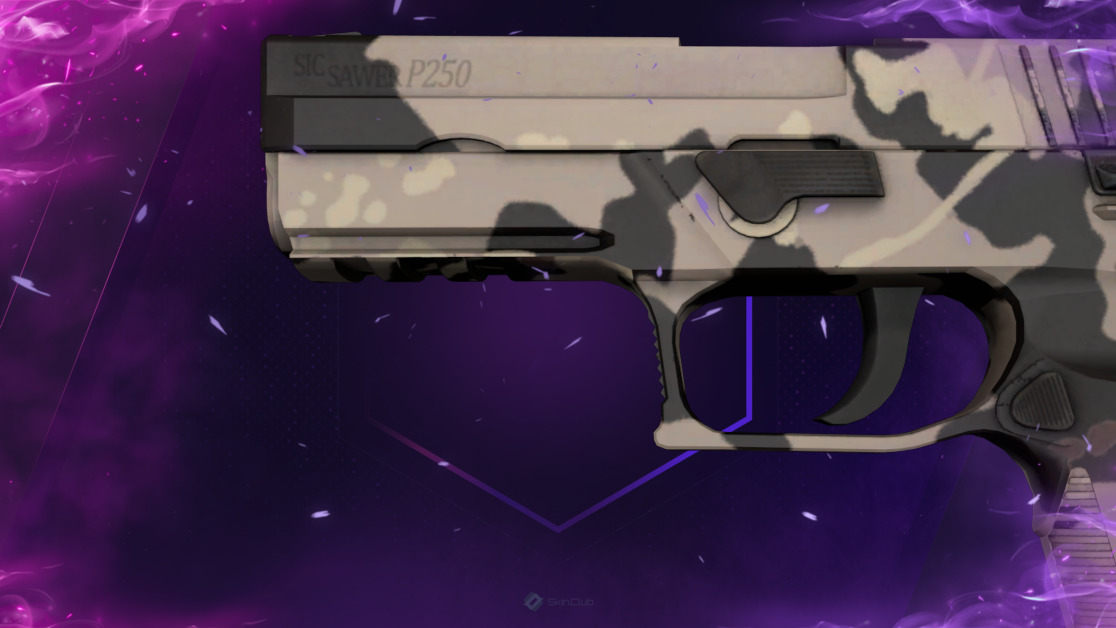 P250 | Black & Tan (Factory New)