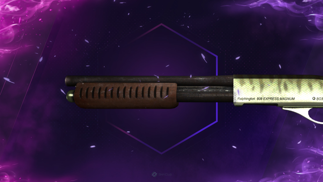 Sawed-Off | Zander (Well-Worn)