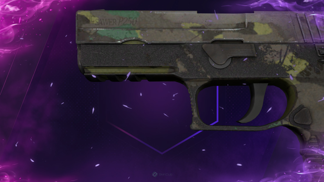 P250 | Boreal Forest (Battle-Scarred)