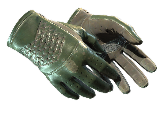 ★ Driver Gloves | Racing Green (Field-Tested)