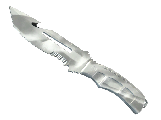 team liquid cs2