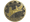 ultimate (Gold) | Cologne 2026
