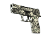 P250 Franklin
