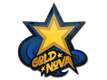 Sticker Gold Nova