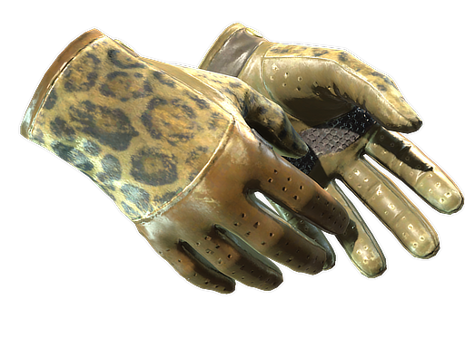★ Driver Gloves | Queen Jaguar (Field-Tested)