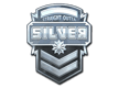 Sticker Silver (Foil)