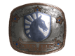Sticker Team Liquid (Foil) | Austin 2025