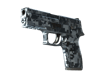 P250 Steel Disruption