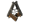 Black Limba