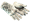 Snow Leopard