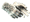 Snow Leopard