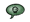 Death Sentence (Jungle Green)