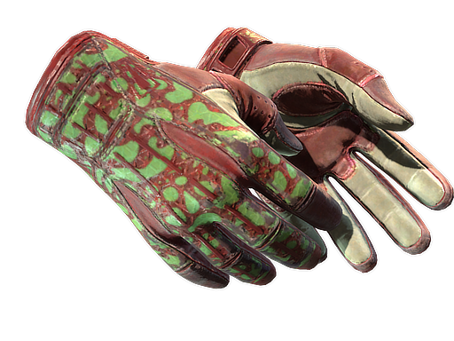 ★ Sport Gloves | Bronze Morph (Field-Tested)