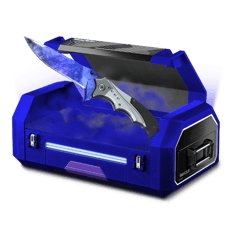 20% Knife box