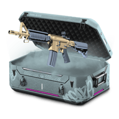 2vs2 m4a1
