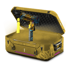 MP Case