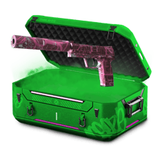 DAILY CASE LEVEL 30