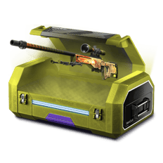 PEO CASE