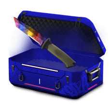 $2 Skill Issue Case