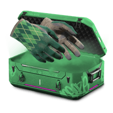50/50 Glove Case