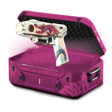 Zeus Battle Case