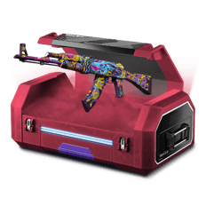 Budget Cases
