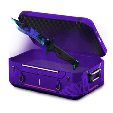 vv100 case