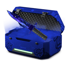 BLUE INVENTORY CT
