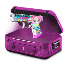 Cheap Loadout Case