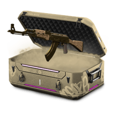 arab case