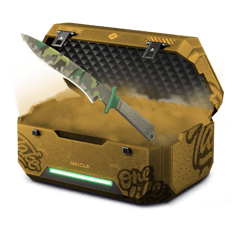 Fnatic or Gold