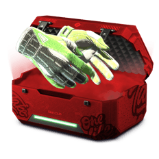 100 % nice Gloves profit✨
