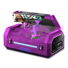 dolla case