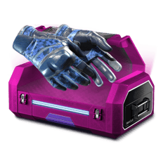 10/90 Glove case