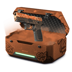 P250 Go VROOM