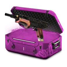 2v2 shotgun farm